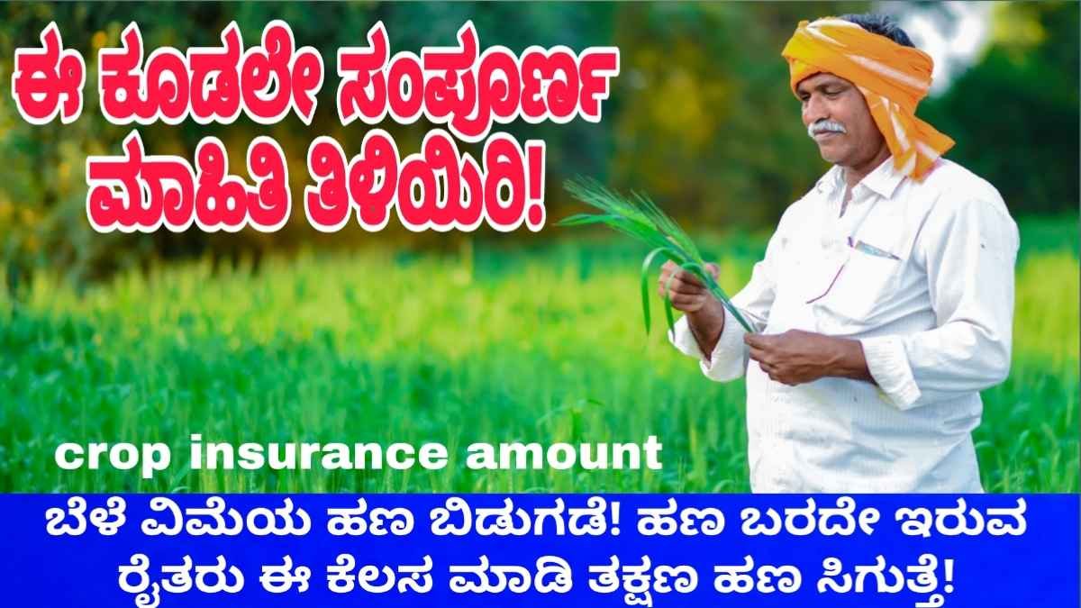 crop insurance amount check ಬೆಳೆ ವಿಮೆಯ ಹಣ ಬಿಡುಗಡೆ! ಹಣ ಬರದೇ ಇರುವ ರೈತರು ಈ ಕೆಲಸ ಮಾಡಿ ತಕ್ಷಣ ಹಣ ಸಿಗುತ್ತೆ!