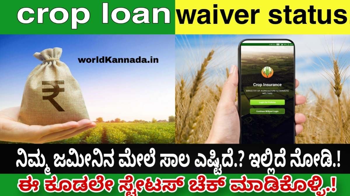 Crop loan waiver status