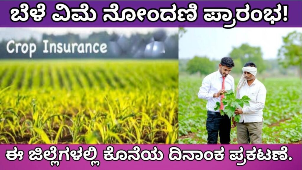 Crop insurance application